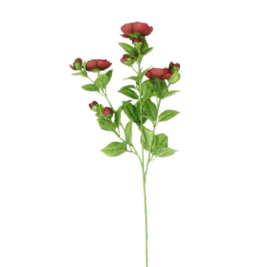 Floral * | Promo 12 Pack: Burgundy Ranunculus Spray By Ashland