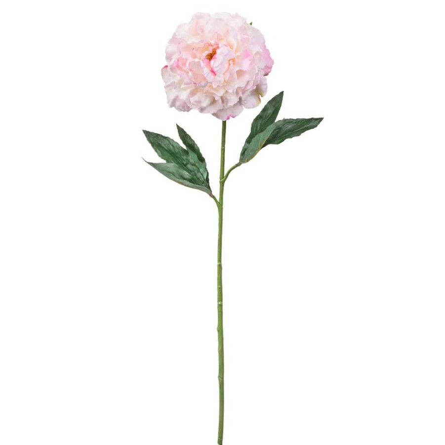 Floral * | Promo 12 Pack: Light Pink Peony Stem By Ashland