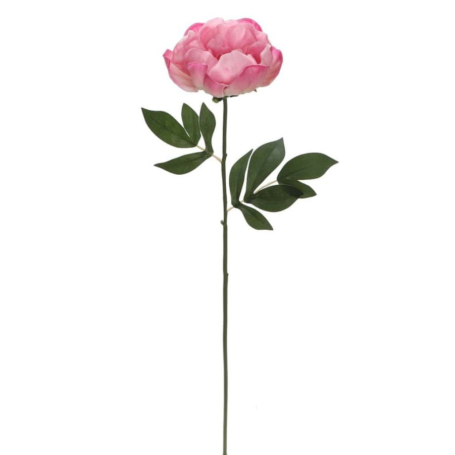 Floral * | Best Sale 6 Pack: Pink Peony Stem By Ashland