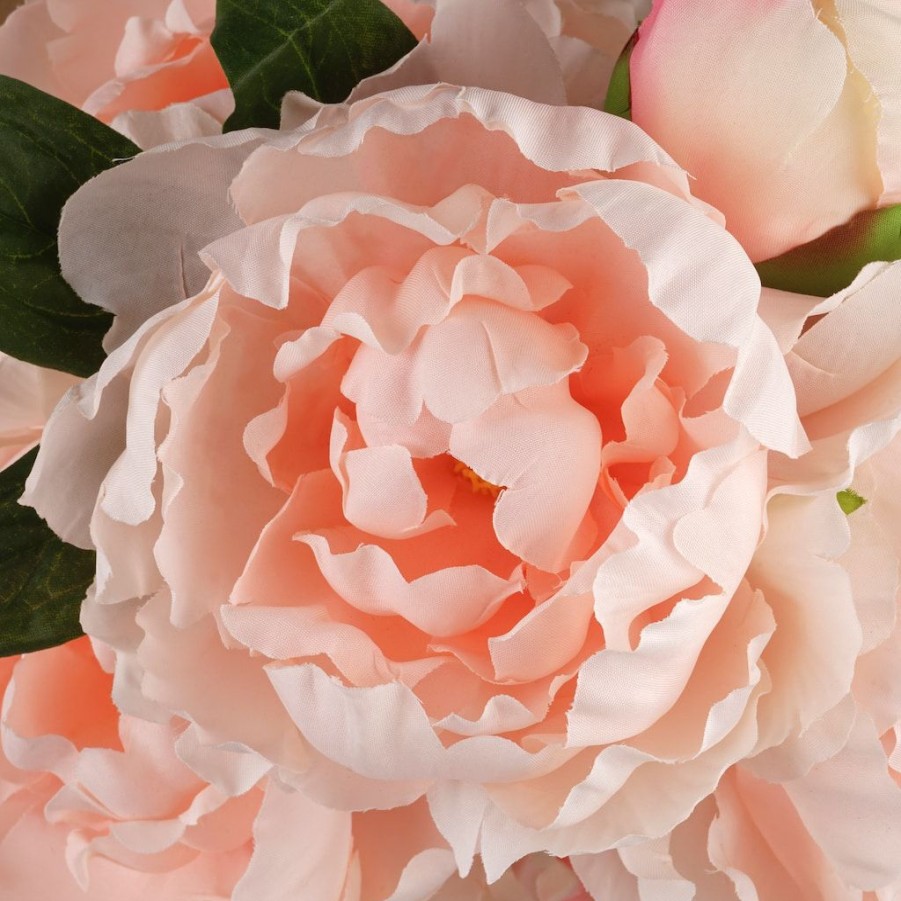 Floral * | New Coral Peony Bush By Ashland