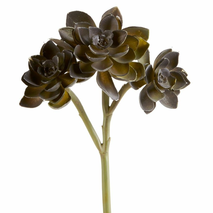 Floral * | Budget 12 Pack: Assorted Succulent Pick By Ashland