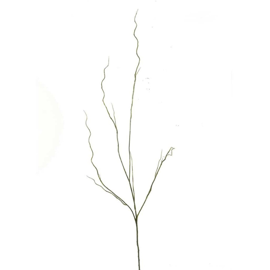 Floral * | Budget 12 Pack: Green & Yellow Twig Branch By Ashland