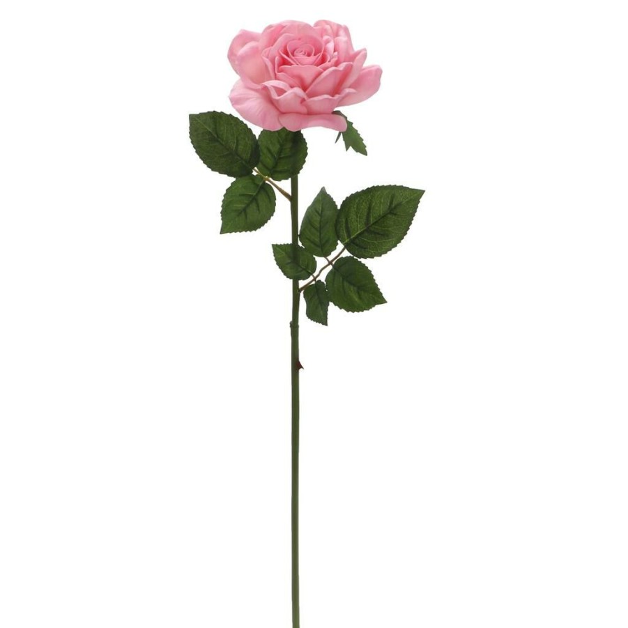 Floral * | Discount 6 Pack: Blush Rose Stem By Ashland