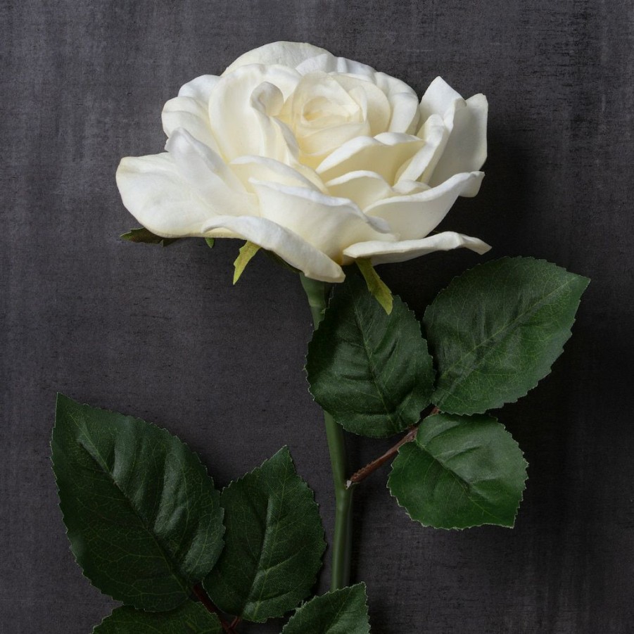 Floral * | Coupon White Rose Stem By Ashland