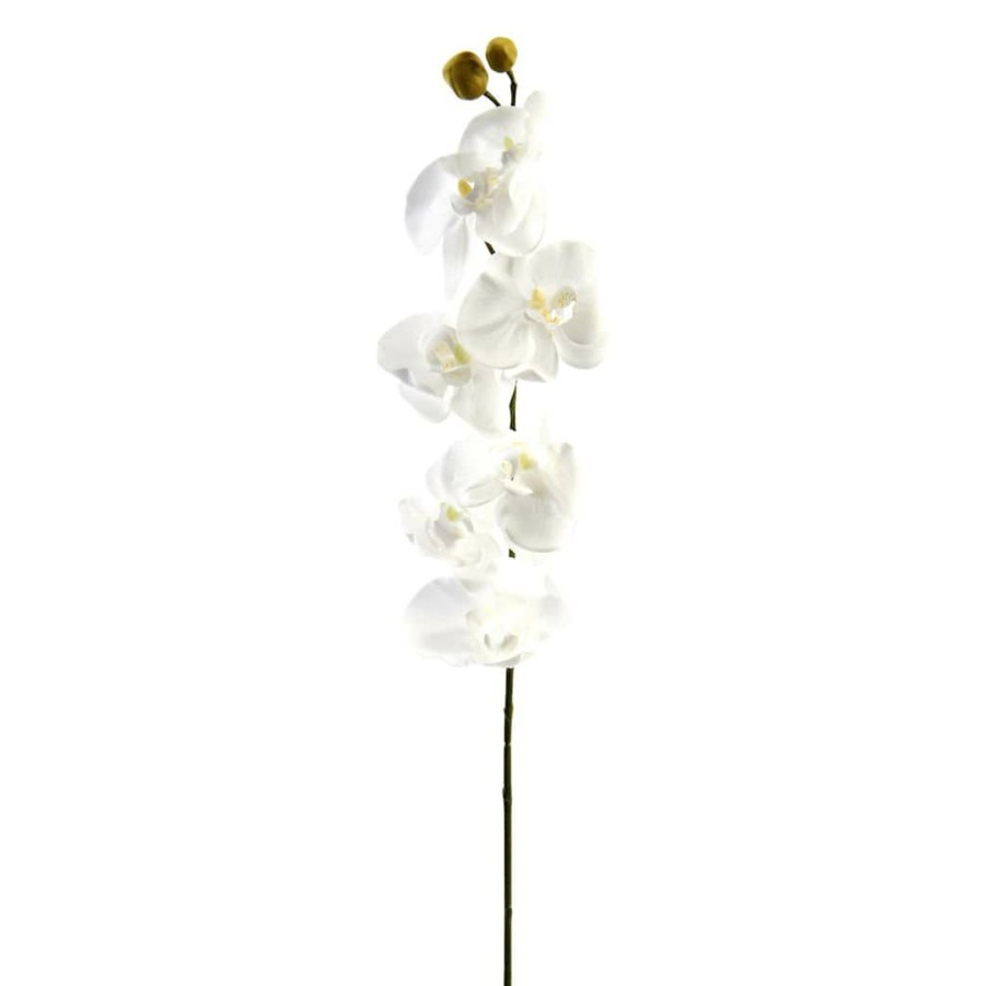 Floral * | Brand New Phaleanopsis Orchid By Ashland