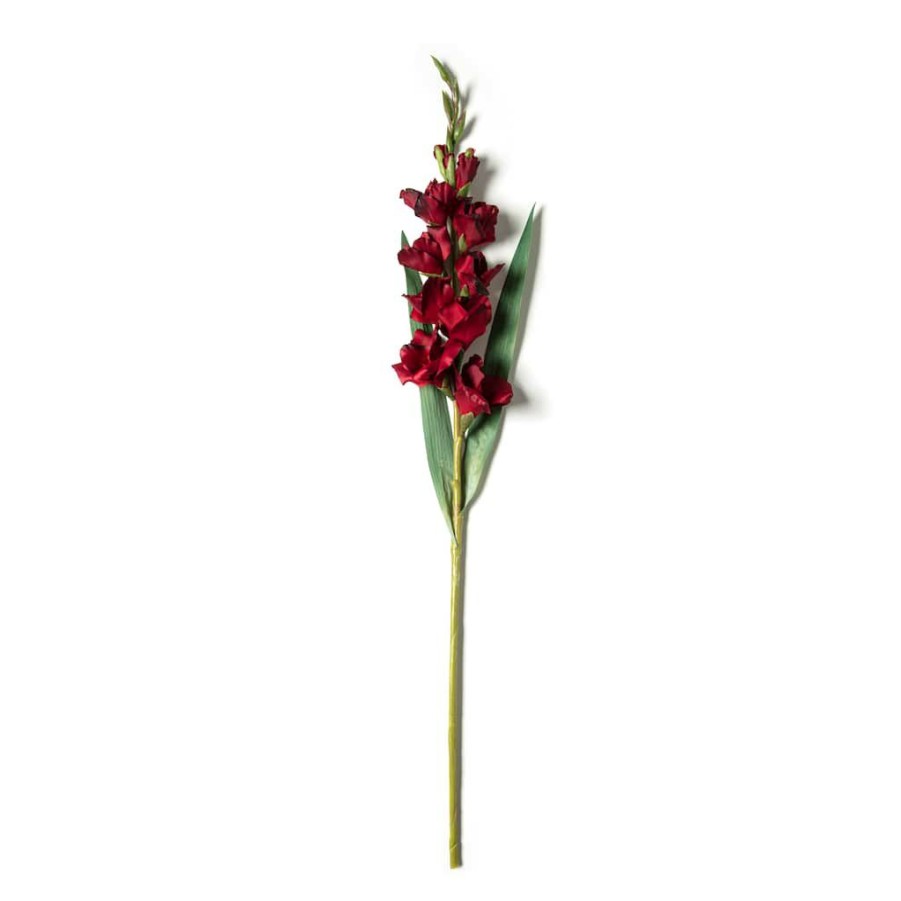 Floral * | Hot Sale 12 Pack: Burgundy Gladiolus Stem By Ashland