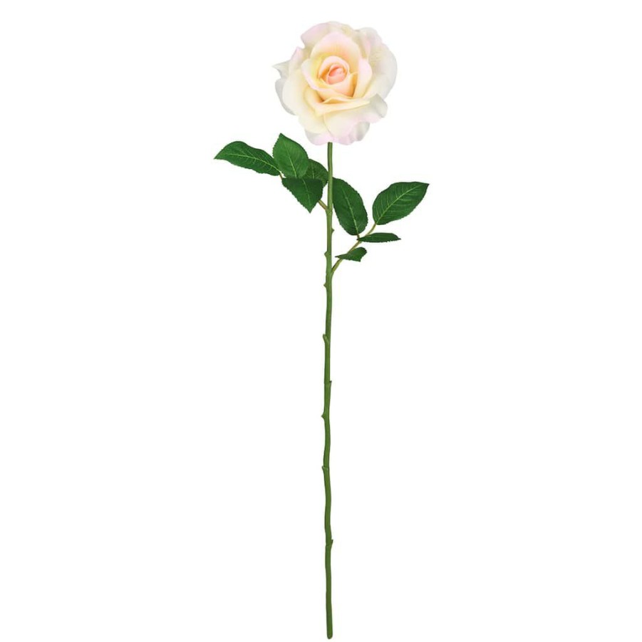 Floral * | Best Reviews Of 12 Pack: White Princess Rose Stem By Ashland