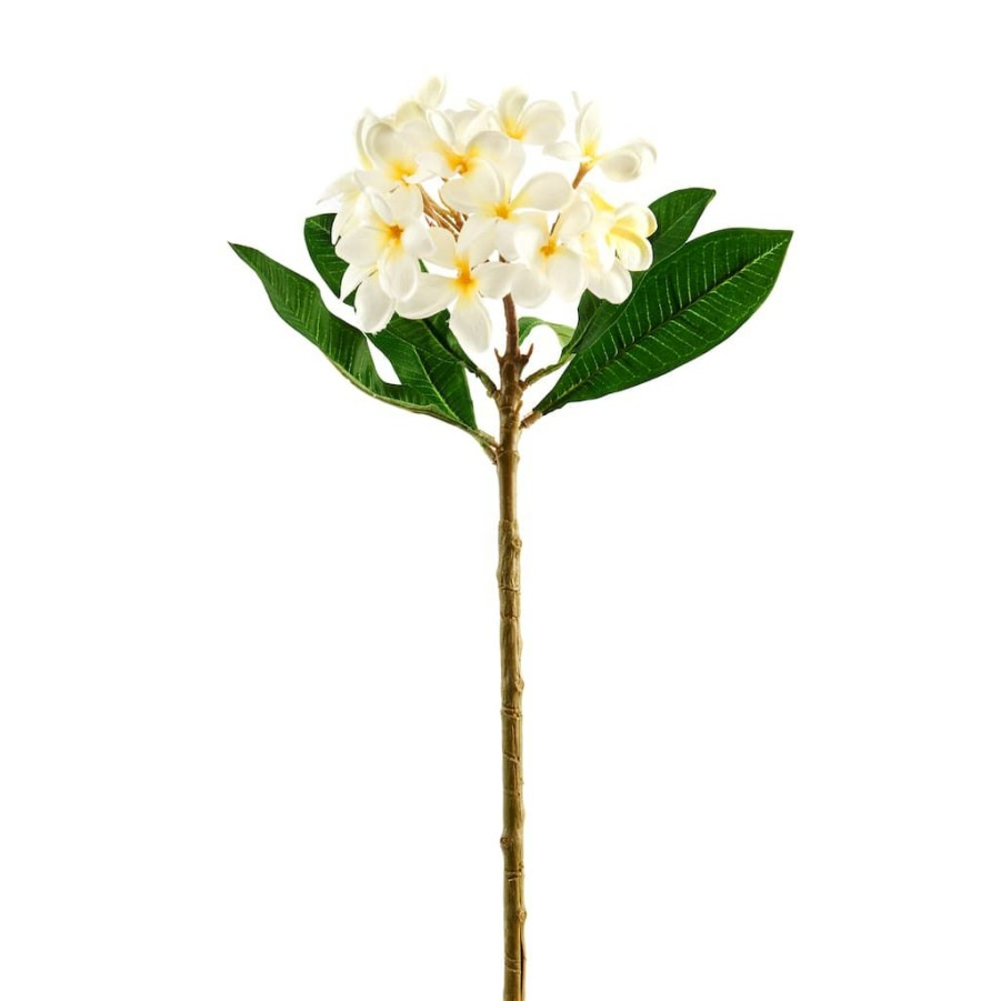 Floral * | Coupon White Frangipani Stem By Ashland