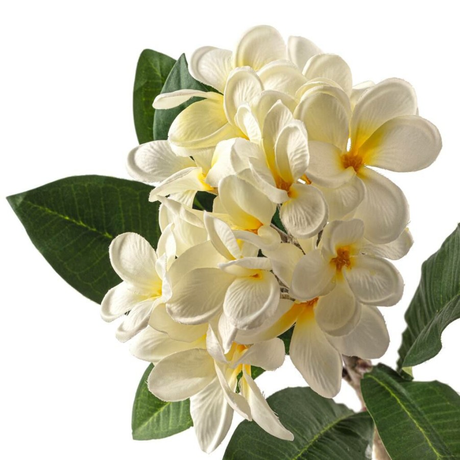 Floral * | Coupon White Frangipani Stem By Ashland