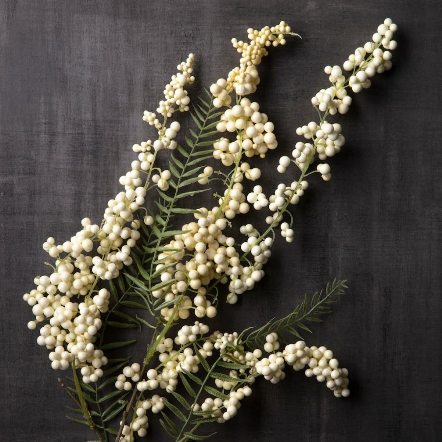 Floral * | Wholesale Cream Hanging Berry Stem By Ashland