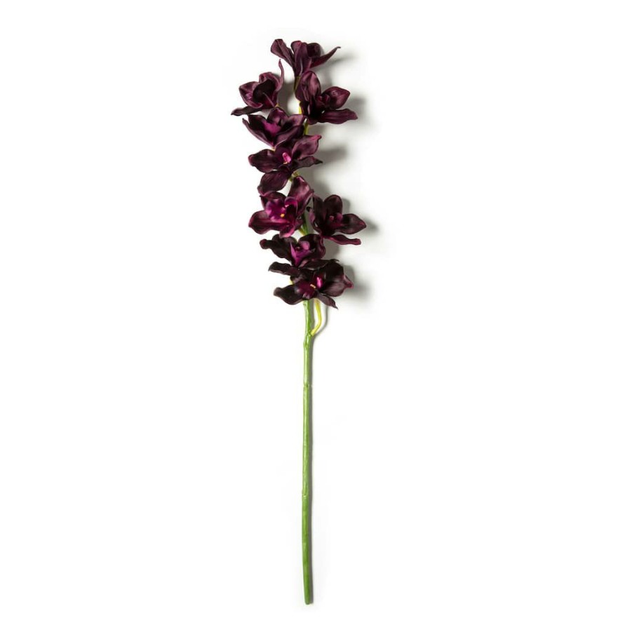 Floral * | Best Deal Tropical Cymbidium Spray By Ashland