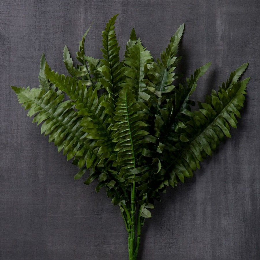 Floral * | Promo Boston Fern Bush Fern Collection By Ashland Green