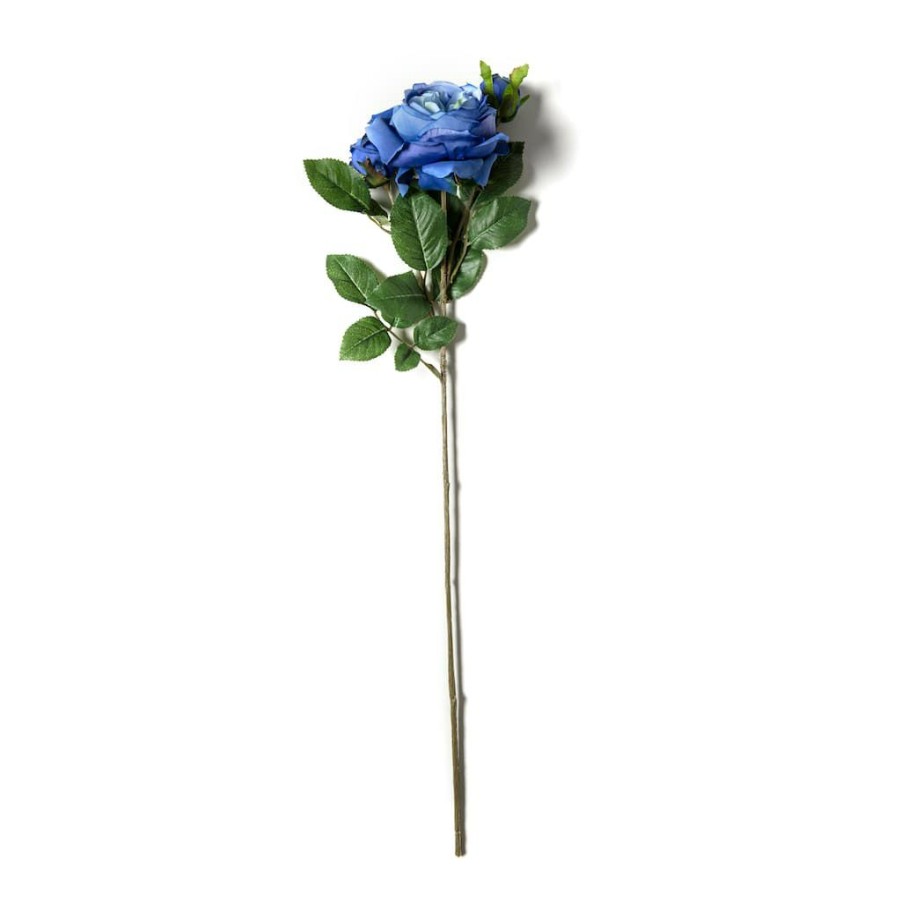 Floral * | Coupon Blue English Rose Stem By Ashland