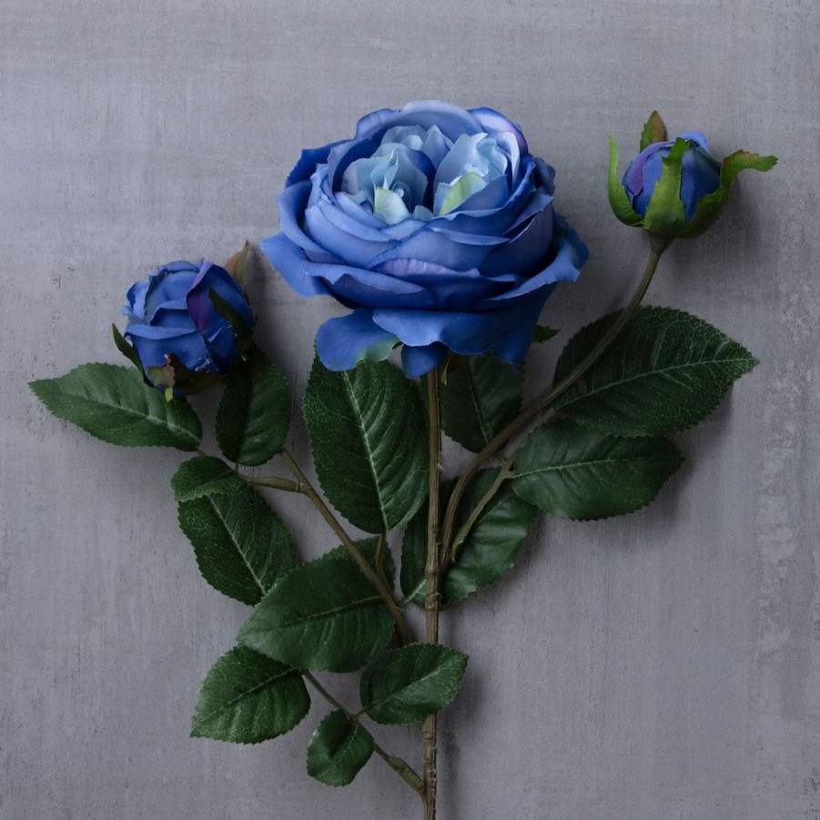 Floral * | Coupon Blue English Rose Stem By Ashland