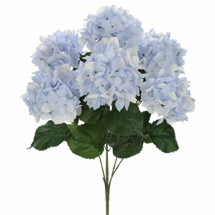 Floral * | Best Reviews Of Light Blue Hydrangea Bush By Ashland