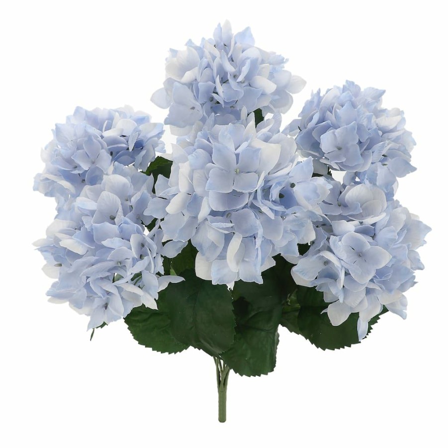 Floral * | Best Reviews Of Light Blue Hydrangea Bush By Ashland