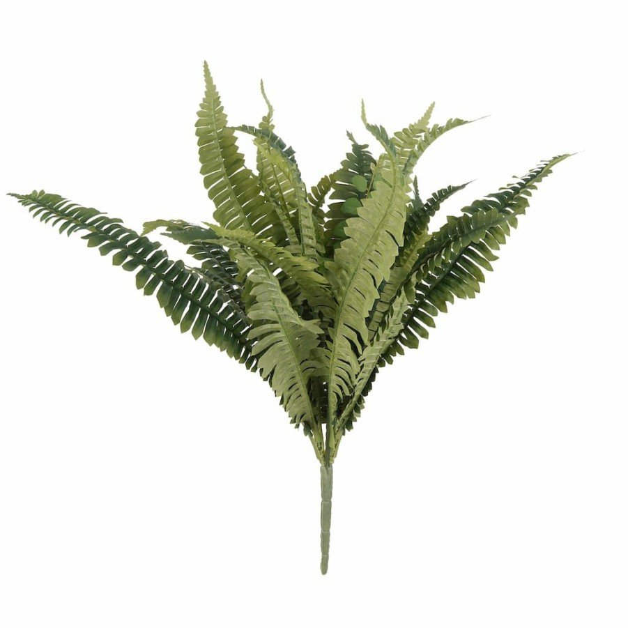 Floral * | Promo Boston Fern Bush Fern Collection By Ashland Green