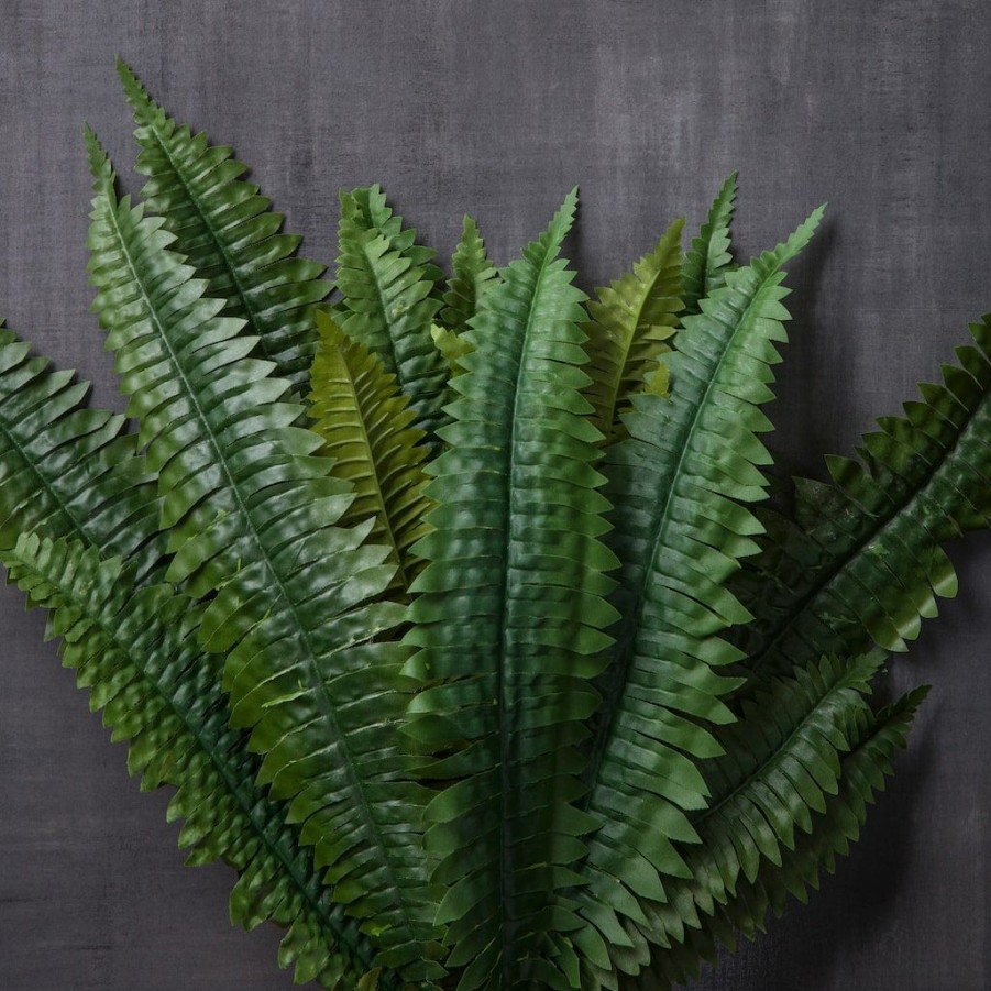 Floral * | Promo Boston Fern Bush Fern Collection By Ashland Green