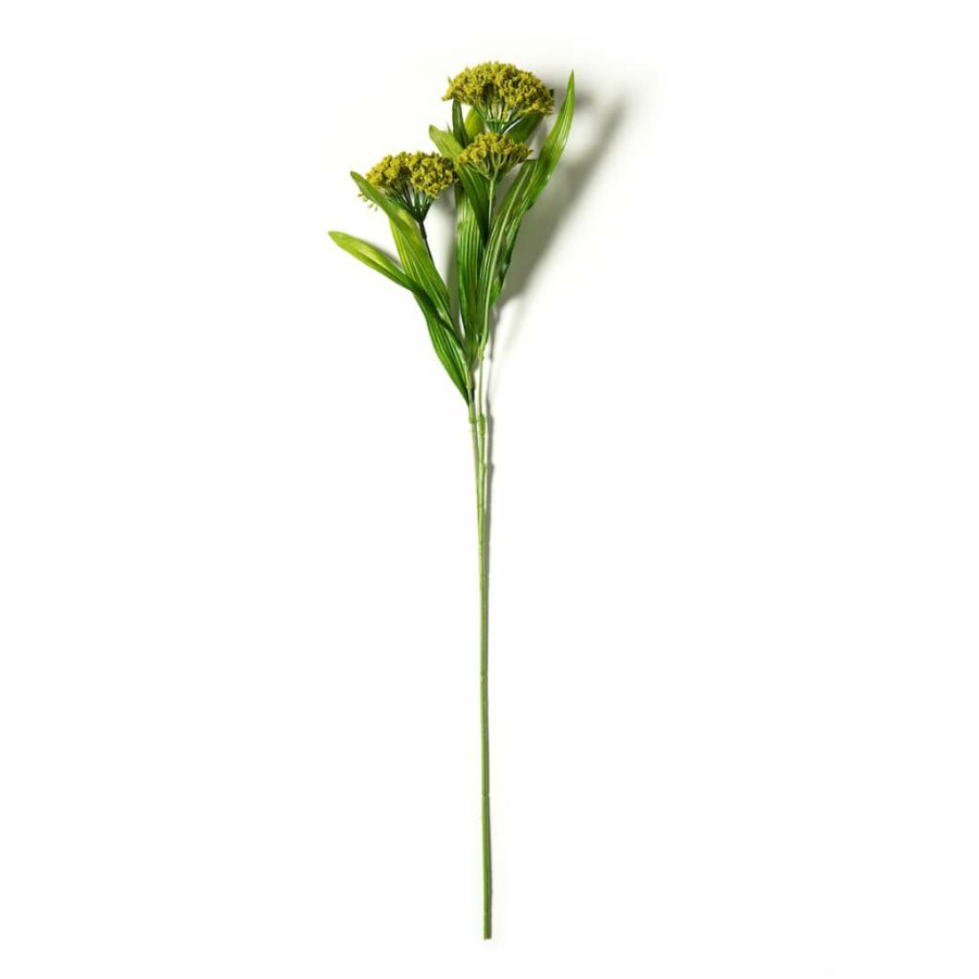 Floral * | Discount Green Queen Anne'S Lace Stem By Ashland