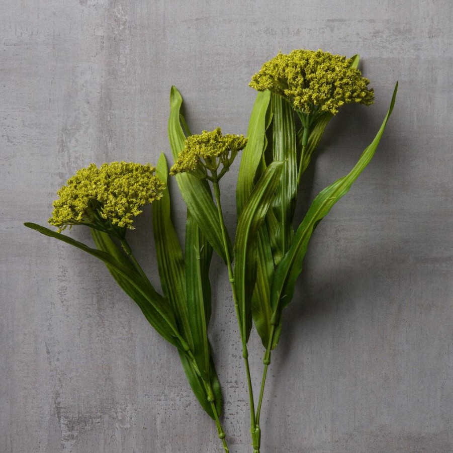 Floral * | Discount Green Queen Anne'S Lace Stem By Ashland