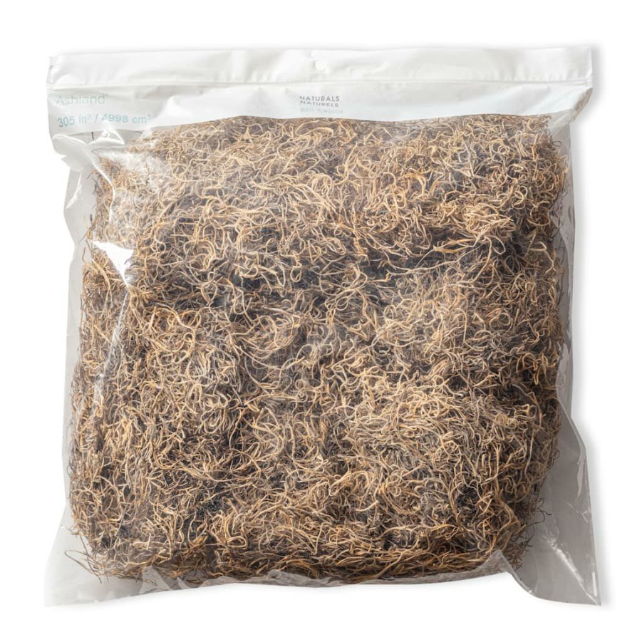 Floral * | Wholesale Natural Spanish Moss By Ashland