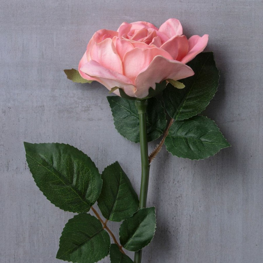 Floral * | Cheap Blush Rose Stem By Ashland