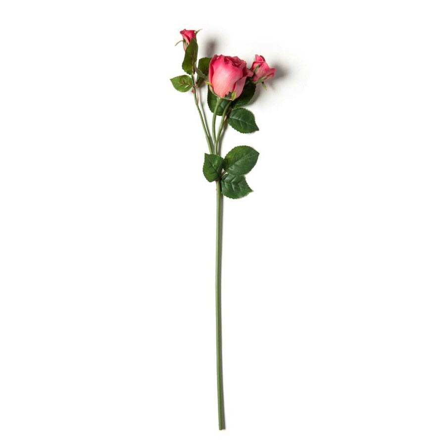 Floral * | Coupon Fuchsia Rose Stem By Ashland