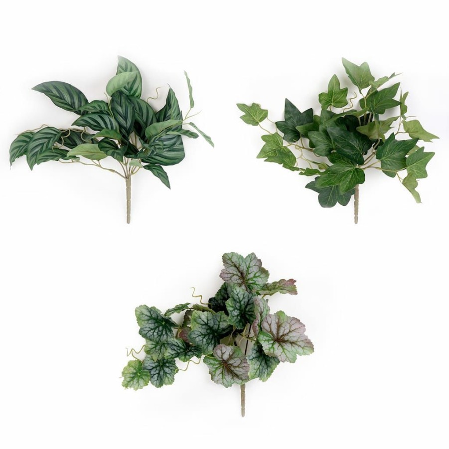 Floral * | Best Reviews Of Assorted Ivy Leaf Pick By Ashland