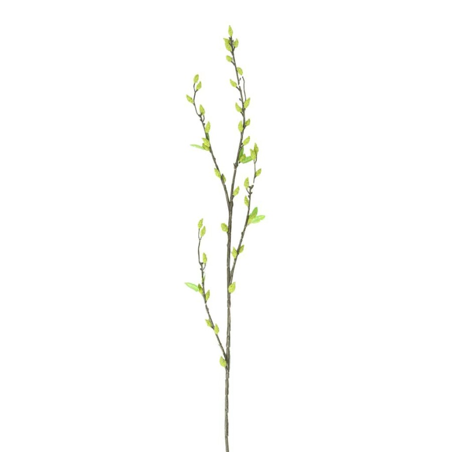 Floral * | Best Sale 12 Pack: Green Willow Stem By Ashland