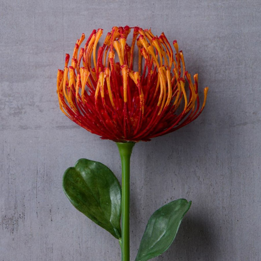 Floral * | Hot Sale Tropical Needle Protea Spray By Ashland