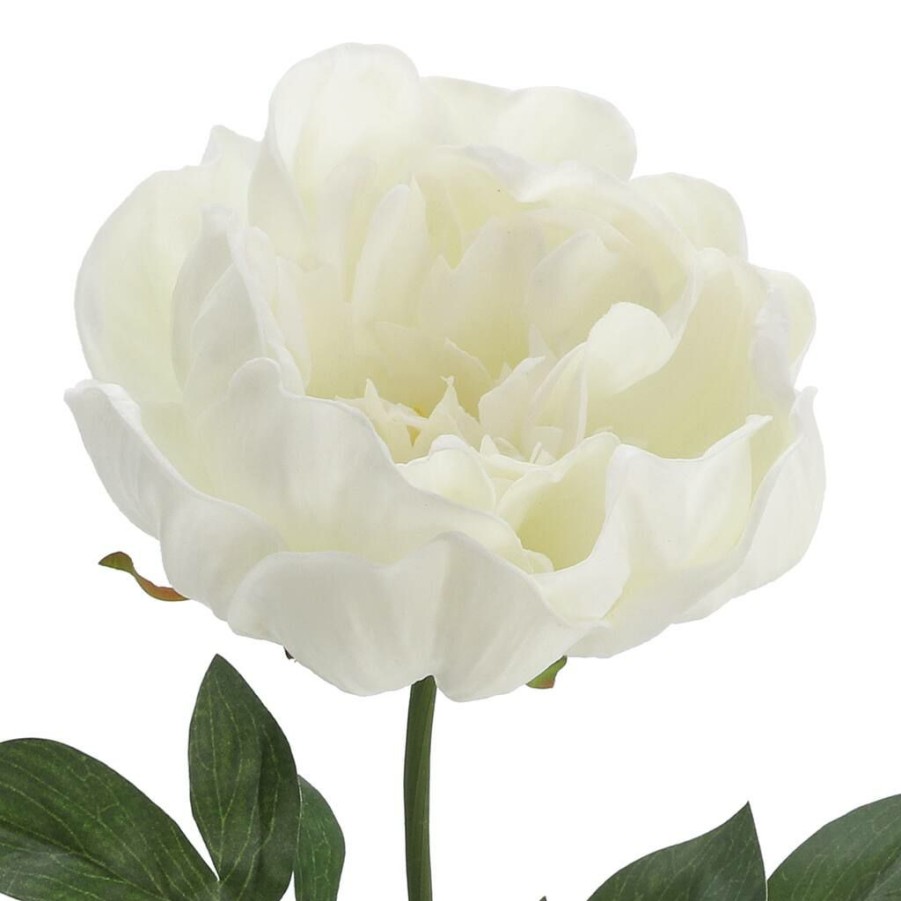 Floral * | Promo 12 Pack: White Peony Stem By Ashland