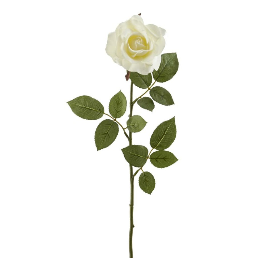 Floral * | Best Reviews Of 16 Pack: Ivory Princess Rose Stem By Ashland