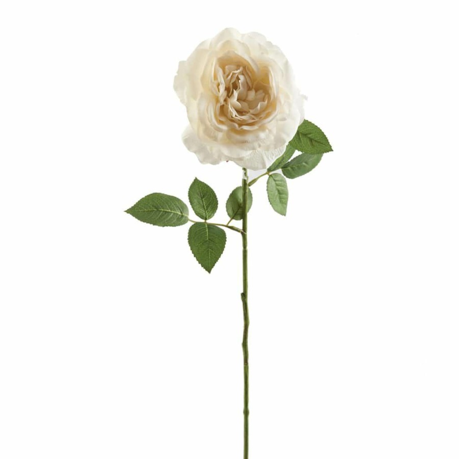 Floral * | Top 10 12 Pack: White Sophia Rose Stem By Ashland