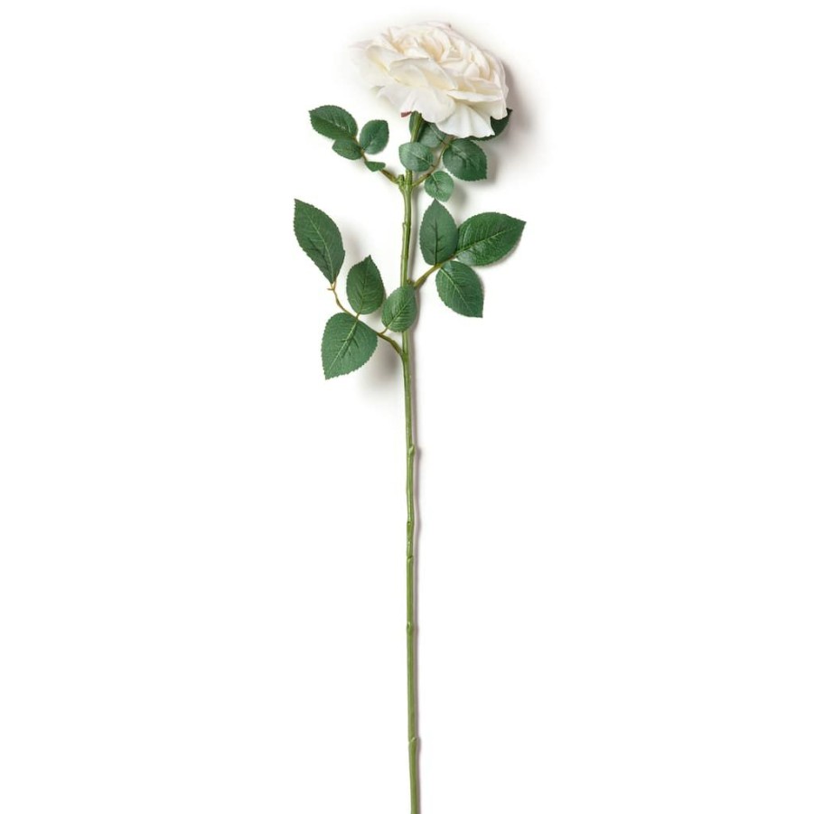 Floral * | Top 10 12 Pack: White Sophia Rose Stem By Ashland