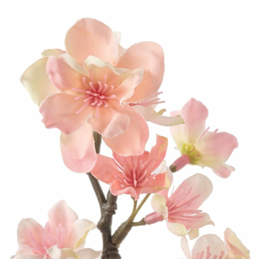 Floral * | Best Pirce 12 Pack: Light Pink Blossom Spray By Ashland