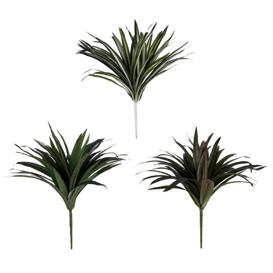 Floral * | Cheapest 12 Pack: Assorted Cordyline Bush By Ashland