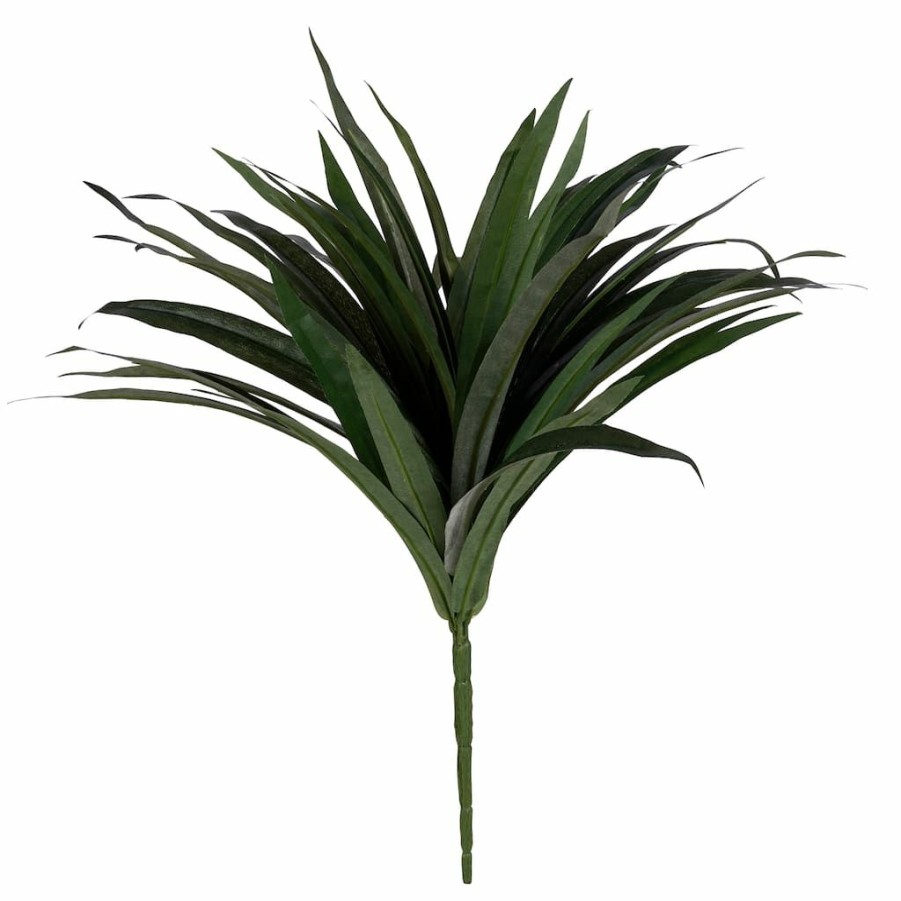 Floral * | Cheapest 12 Pack: Assorted Cordyline Bush By Ashland