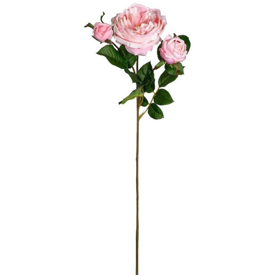 Floral * | Hot Sale Light Pink English Rose Stem By Ashland