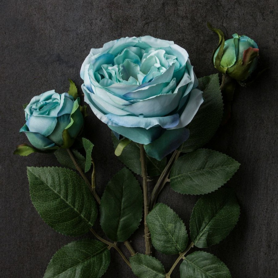 Floral * | Cheapest Teal English Rose Stem By Ashland