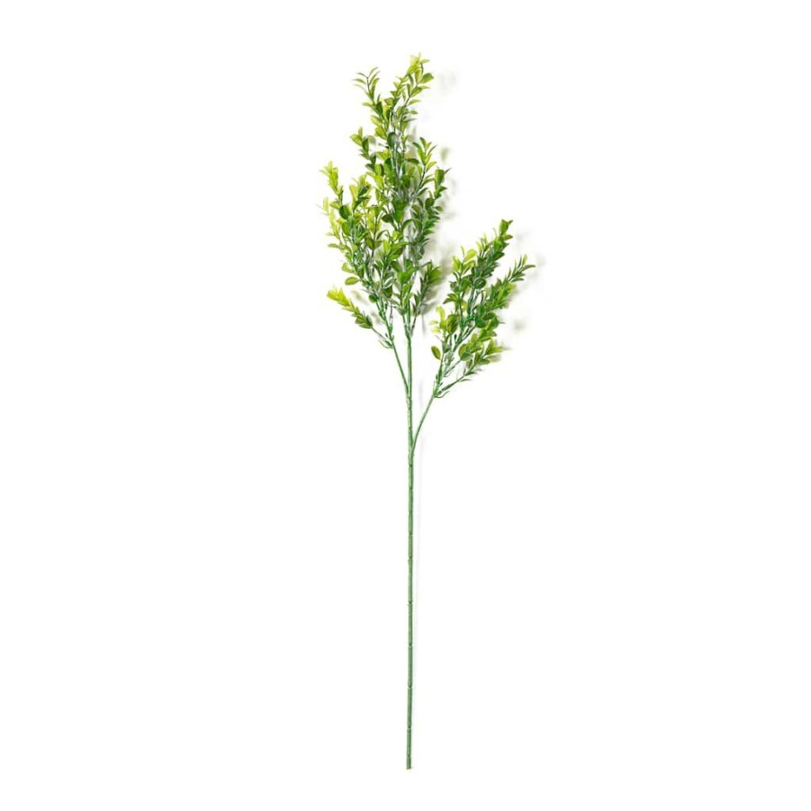 Floral * | Cheap Sweet Grass Stem By Ashland