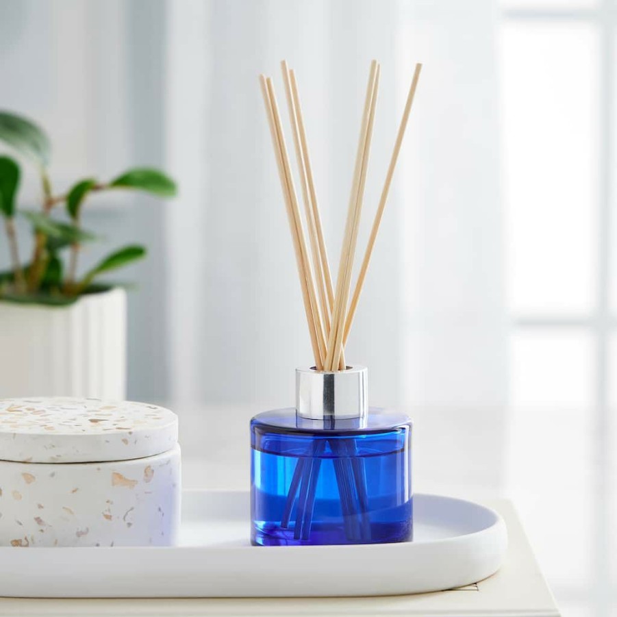 Home & Decor * | Budget Twilight & Currant Reed Diffuser By Ashland