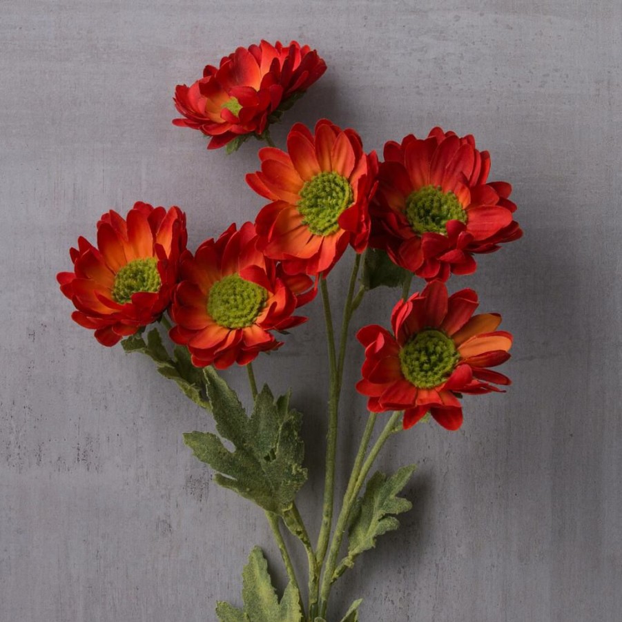 Floral * | Cheap 12 Pack: Rust Daisy Mum Spray By Ashland