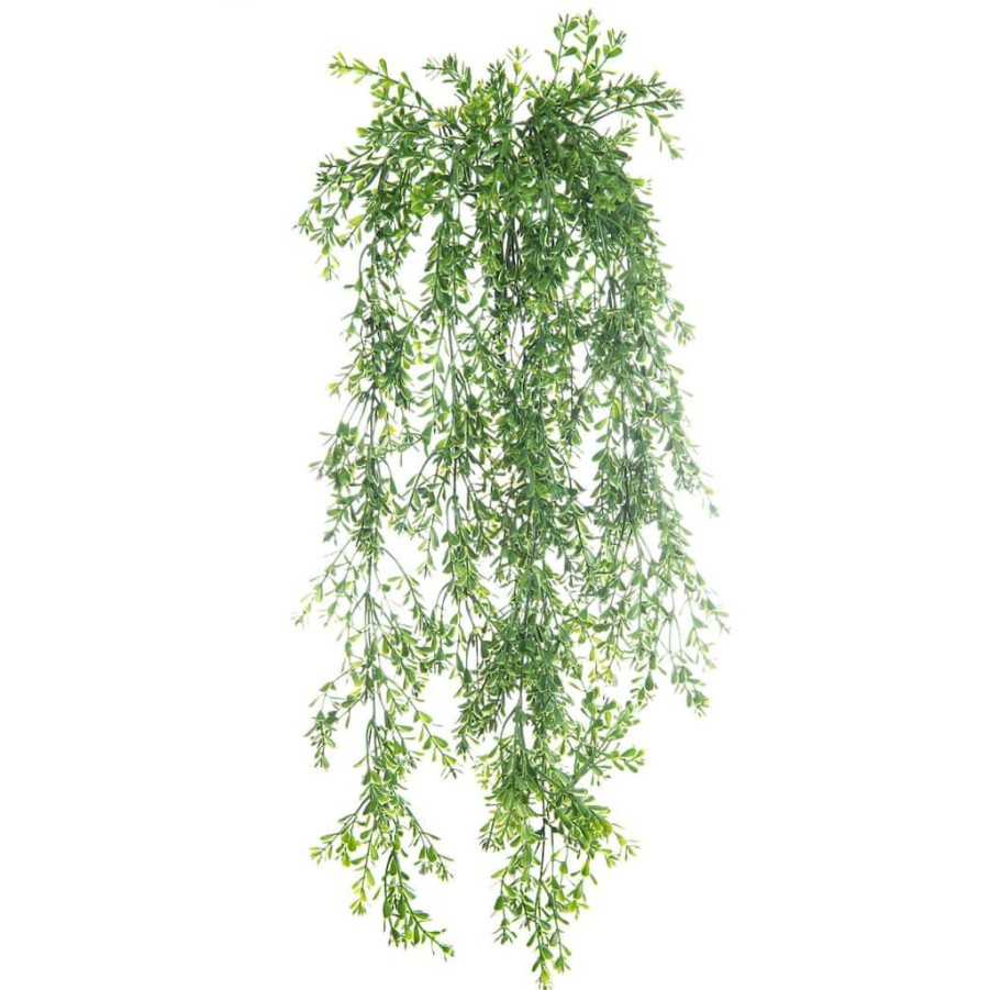 Floral * | Budget Green Boxwood Bush By Ashland