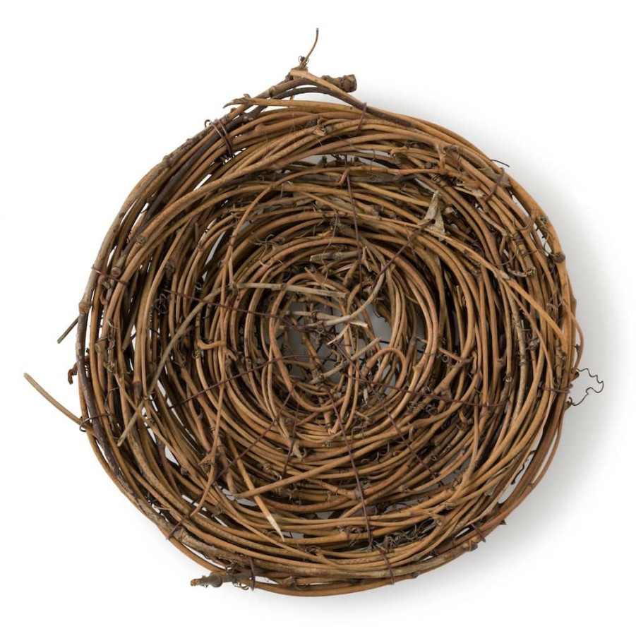 Floral * | Top 10 8 Bird Nest By Ashland