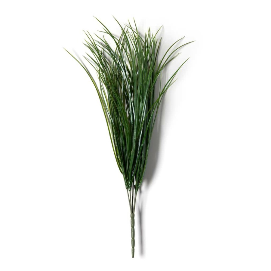 Floral * | Best Sale Assorted Grass Bush By Ashland