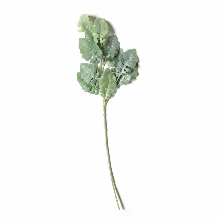 Floral * | Wholesale Green Dusty Miller Stem By Ashland