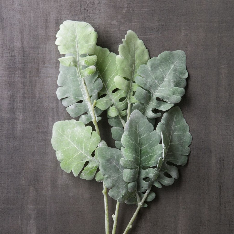 Floral * | Wholesale Green Dusty Miller Stem By Ashland