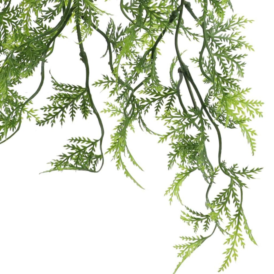 Floral * | Best Reviews Of Green Hanging Fern Bush By Ashland