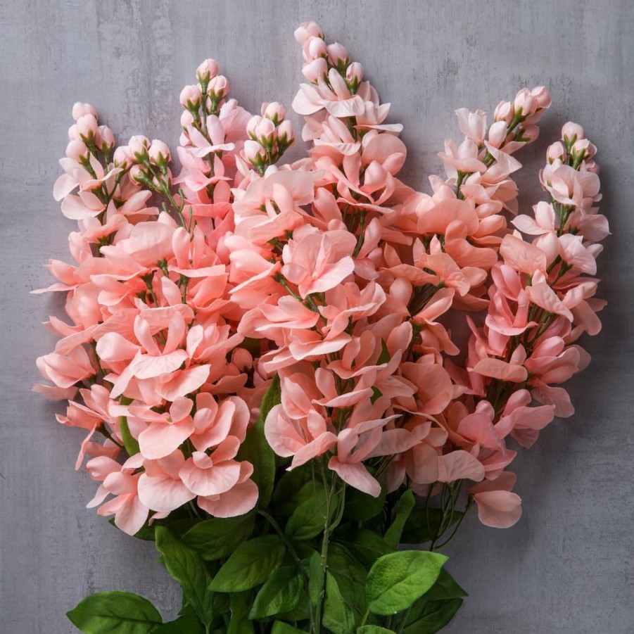 Floral * | Budget Coral Wisteria Bush By Ashland