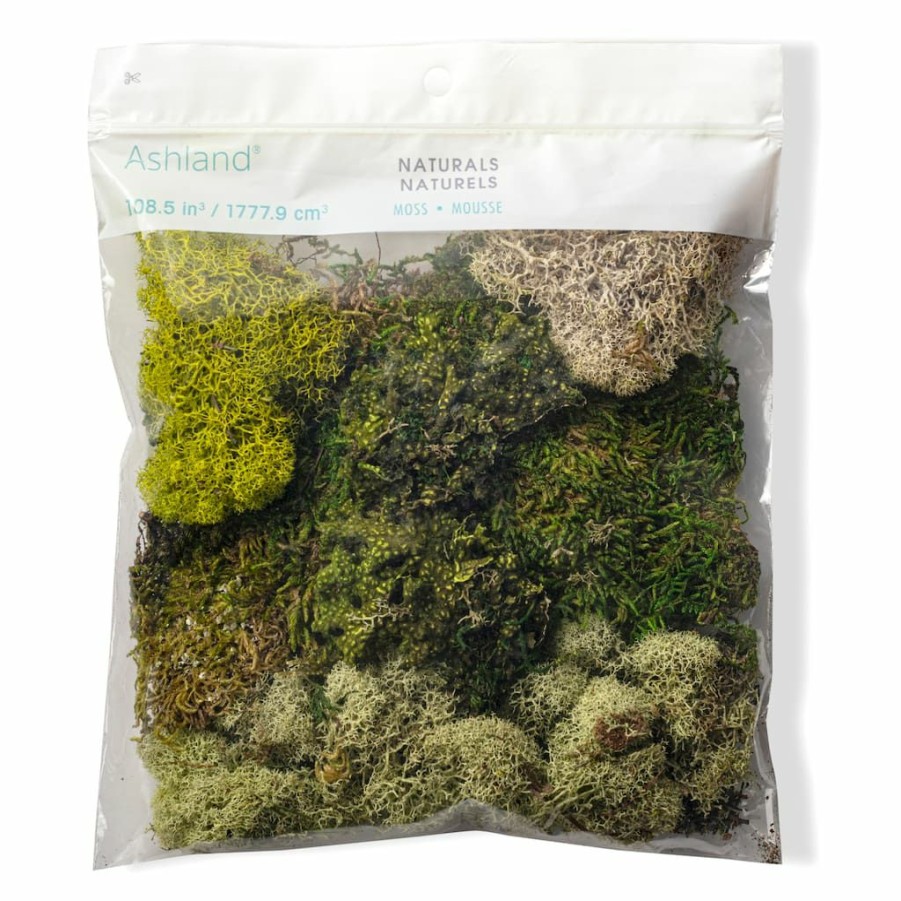 Floral * | Discount Moss Variety Pack By Ashland